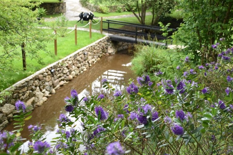 Casas rurales con estanque